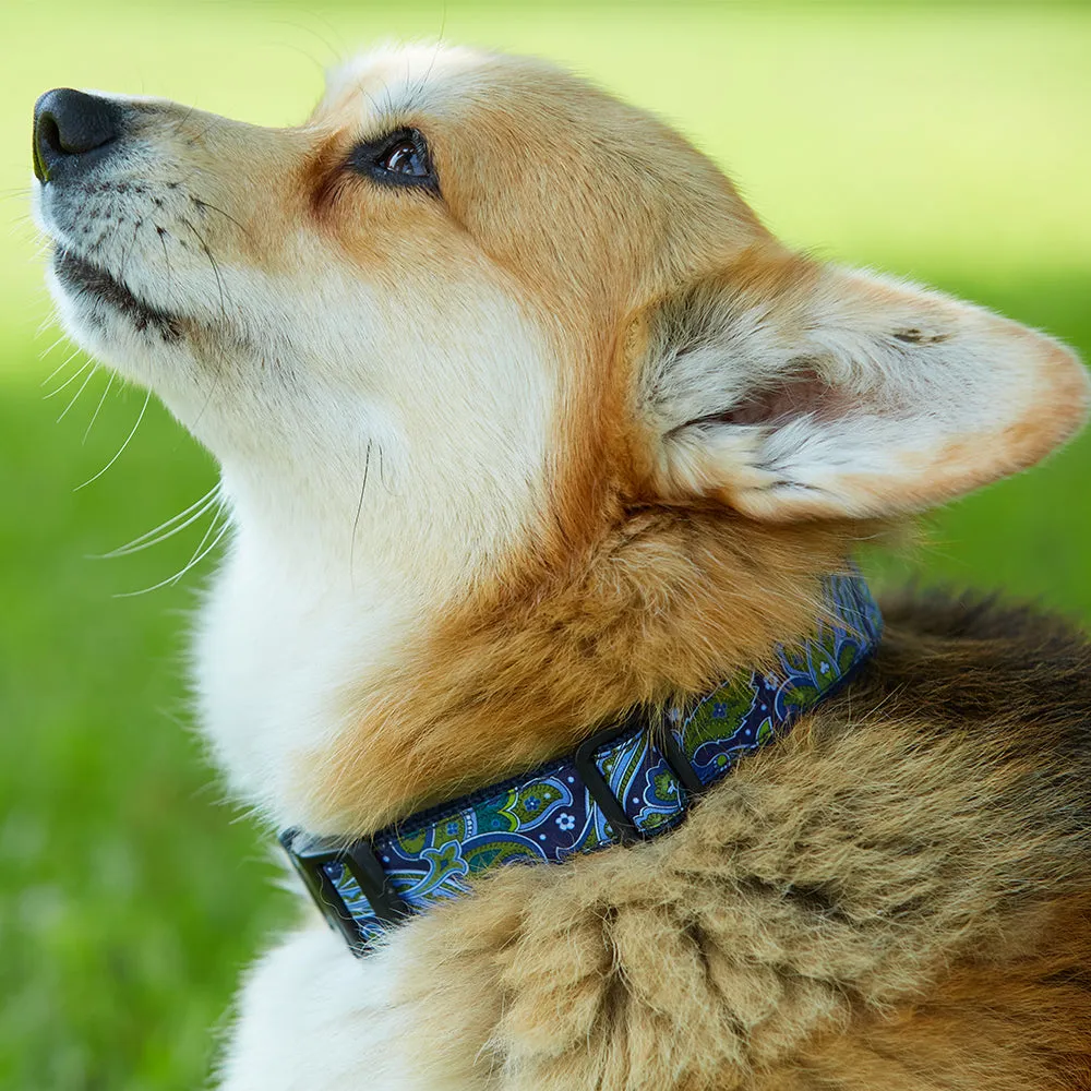 Collegiate Red and Silver - Dog Collar