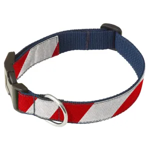 Collegiate Red and Silver - Dog Collar