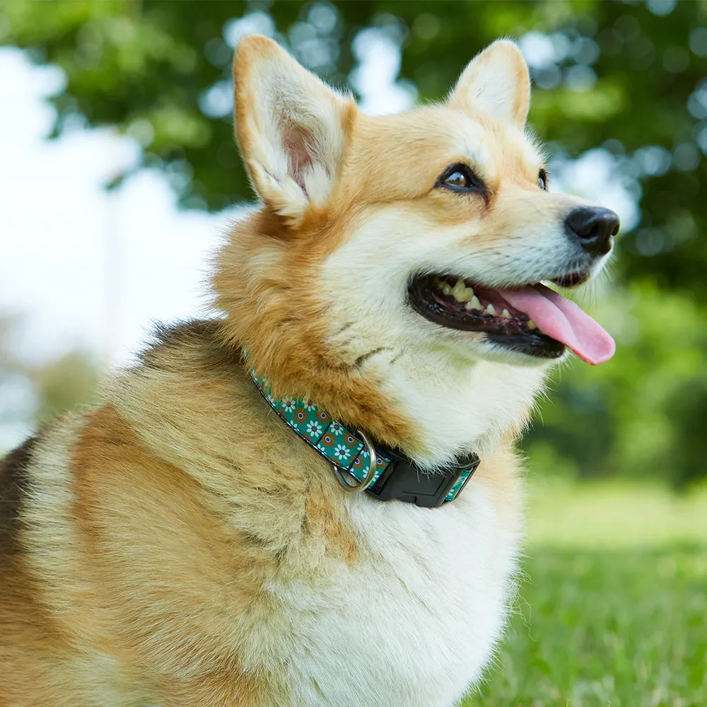Collegiate Red and Silver - Dog Collar