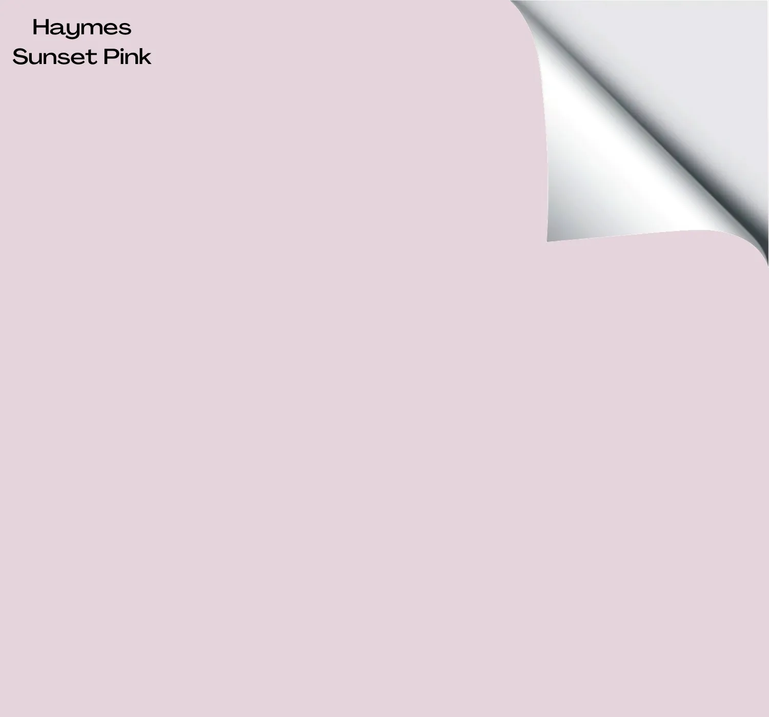 Haymes Sunset Pink